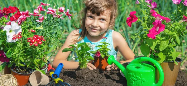 Una niña está plantando flores. El joven jardinero. Enfoque selectivo. naturaleza . — Foto de Stock