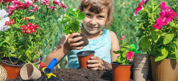 Маленька дівчинка саджає квіти. Молодий садівник. Вибірковий фокус. природа . — стокове фото