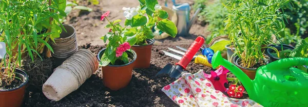 Una niña está plantando flores. El joven jardinero. Enfoque selectivo. — Foto de Stock