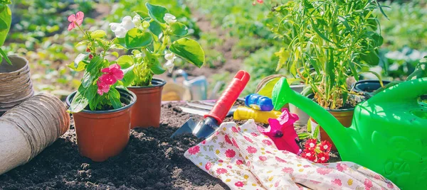 Una niña está plantando flores. El joven jardinero. Enfoque selectivo. — Foto de Stock