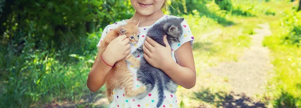 Kleine Kätzchen in den Händen von Kindern. Selektiver Fokus. — Stockfoto