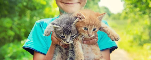 Kis cica a gyerekek kezében. Szelektív fókusz. — Stock Fotó