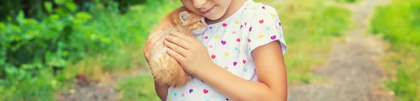 Kleine kittens in de handen van kinderen. Selectieve focus. — Stockfoto