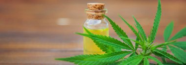 Tedavi için kenevir ve yapraklar et suyu, tentür, özü, yağ. Seçici odak.