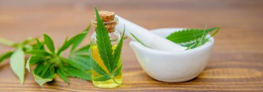 Tedavi için kenevir ve yapraklar et suyu, tentür, özü, yağ. Seçici odak.