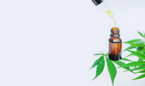 Cannabis gyógynövény és levelek kezelés erőleves, tinktúra, kivonat, olaj. Szelektív fókusz. — Stock Fotó