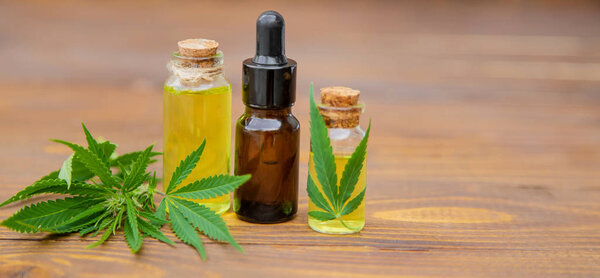 Cannabis herb and leaves for treatment broth, tincture, extract, oil. Selective focus.