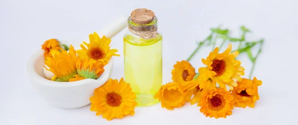 L'estratto di calendula. Piante medicinali. Focus selettivo . — Foto Stock