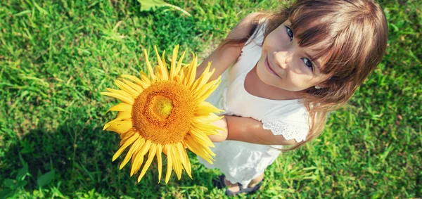 Ein Kind in einem Sonnenblumenfeld. Selektiver Fokus. — Stockfoto