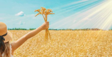 Buğday tarlasında bir çocuk. Seçici odak.