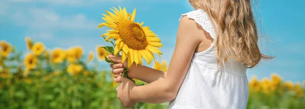 Un niño en un campo de girasoles. Enfoque selectivo . —  Fotos de Stock