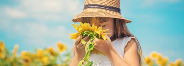 Un niño en un campo de girasoles. Enfoque selectivo . —  Fotos de Stock