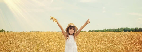 Uma criança num campo de trigo. Foco seletivo. — Fotografia de Stock