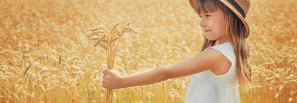 Ein Kind in einem Weizenfeld. Selektiver Fokus. — Stockfoto