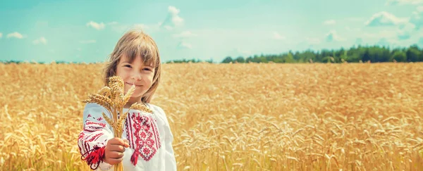 Ребенок в поле пшеницы в вышитой рубашке. Украинский. Селективный фокус . — стоковое фото