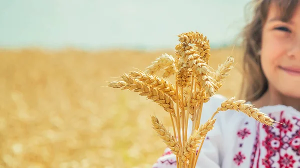 Dziecko w polu pszenicy w haftowanej koszulce. Ukraiński. Selektywna koncentracja. — Zdjęcie stockowe