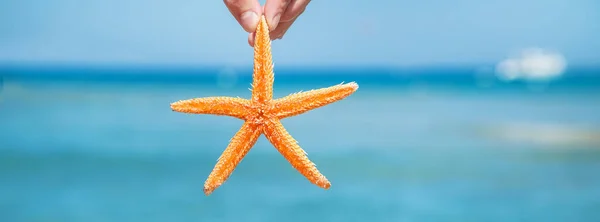 Seestern am Strand in den Händen eines Mannes. Selektiver Fokus. — Stockfoto