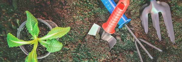 Land Und Gartenbedarf Garten Selektive Fokussierung — Stockfoto