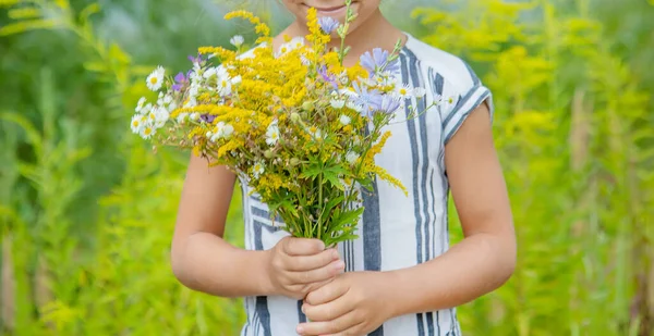 Fille Tenant Des Fleurs Sauvages Dans Les Mains Enfant Concentration — Photo