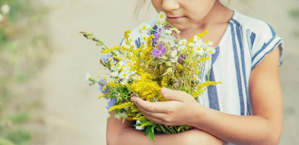 Fille Tenant Des Fleurs Sauvages Dans Les Mains Enfant Concentration — Photo