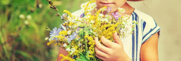 Fille Tenant Des Fleurs Sauvages Dans Les Mains Enfant Concentration — Photo