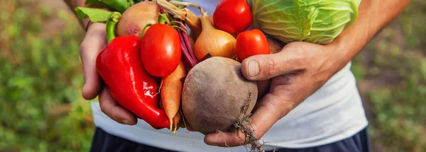 Man Bonde Med Hemgjorda Grönsaker Sina Händer Selektivt Fokus Natur — Stockfoto