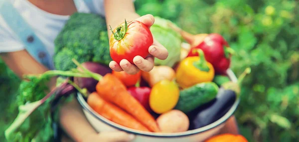 Bahçedeki çocuk elinde sebzelerle. Seçici odaklanma. Doğa.