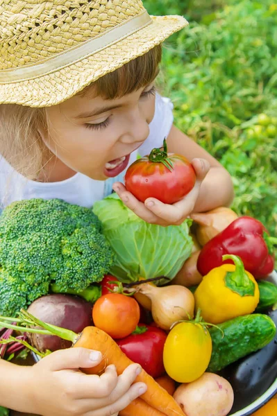 Barn Trädgården Med Grönsaker Händerna Selektiv Inriktning — Stockfoto