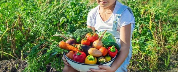 Bahçedeki Çocuk Elinde Sebzelerle Seçici Odak — Stok fotoğraf