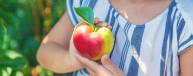 bahçede bir elma ile çocuk. Seçici odaklama.