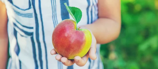 정원에 사과를 가진아이 선택적 집중입니다 — 스톡 사진