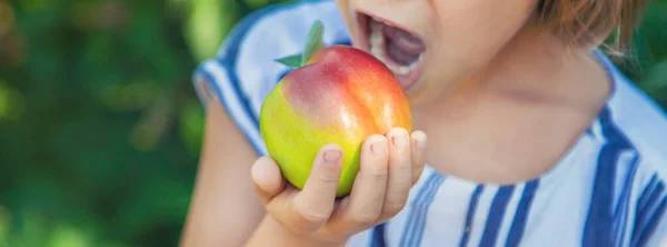 Barn Med Ett Äpple Trädgården Selektivt Fokus — Stockfoto