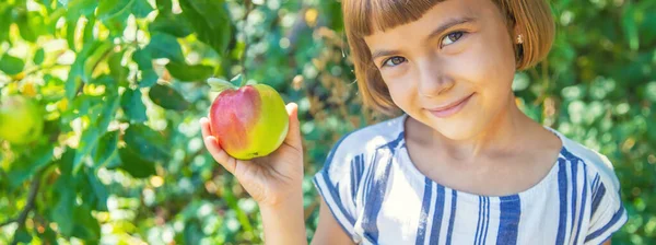 Dziecko Jabłkiem Ogrodzie Selektywna Koncentracja — Zdjęcie stockowe