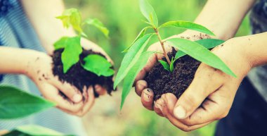 çocuklar ellerinde bitkileri birlikte dikerler. Seçici odak. Doğa.