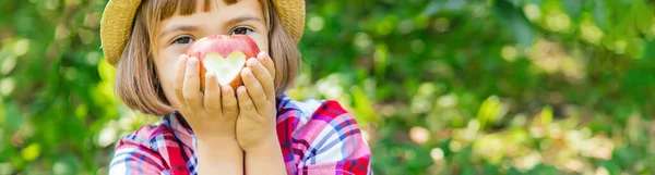 子供は庭の庭でリンゴを選ぶ 選択的焦点 — ストック写真
