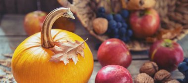 Balkabağı ile sonbahar arka plan. Şükran Günü. Seçici odak. Doğa.