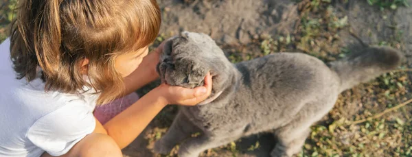 子供の女の子は猫が大好きです 選択的な焦点 — ストック写真