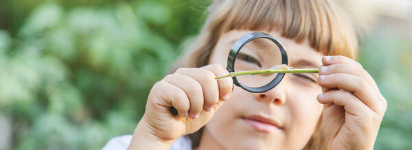 Child with a magnifying glass in his hands. Selective focus.