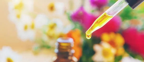 Homeopatía Extractos Hierbas Botellas Pequeñas Enfoque Selectivo Naturaleza —  Fotos de Stock