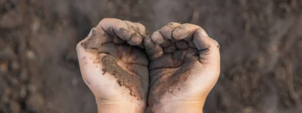 Child Garden Earth His Hands Selective Focus Nature — Stock Photo, Image