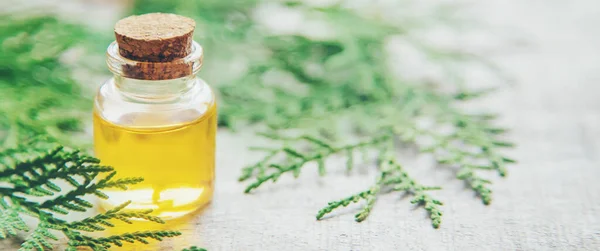 Olio Essenziale Ginepro Una Piccola Bottiglia Concentrazione Selettiva Natura — Foto Stock