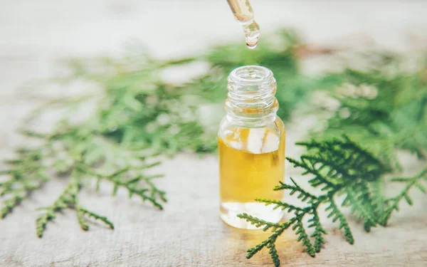 Aceite Esencial Enebro Una Botella Pequeña Enfoque Selectivo Naturaleza —  Fotos de Stock