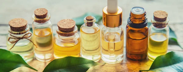 Olio Essenziale Tea Tree Una Piccola Bottiglia Concentrazione Selettiva Natura — Foto Stock