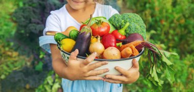 Bahçedeki çocuk elinde sebzelerle. Seçici odaklanma. Doğa.
