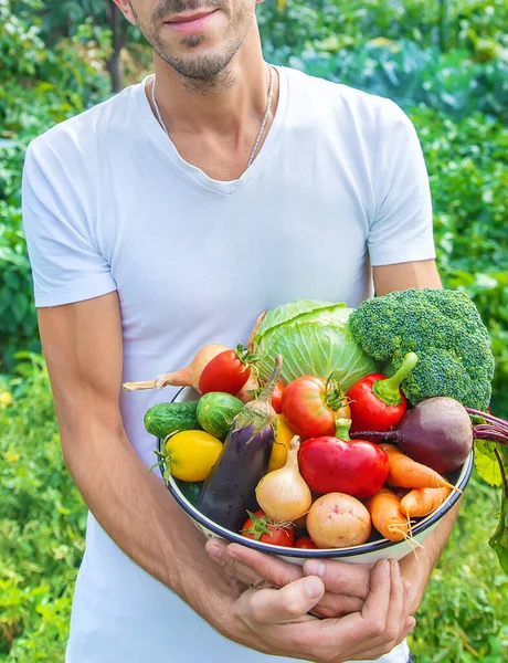 Man Boer Met Zelfgemaakte Groenten Zijn Handen Selectieve Focus Aard — Stockfoto