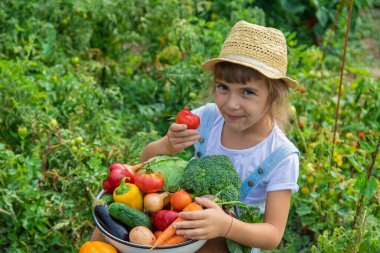 Bahçedeki çocuk elinde sebzelerle. Seçici odaklanma. Doğa.