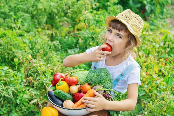 Barn Trädgården Med Grönsaker Händerna Selektivt Fokus Natur — Stockfoto