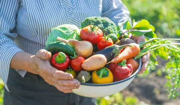 庭で野菜を手におばあちゃん 選択的フォーカス — ストック写真