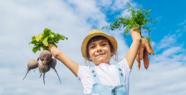 Bahçede bir sürü pancarı olan bir çocuk. Seçici odak. Doğa.