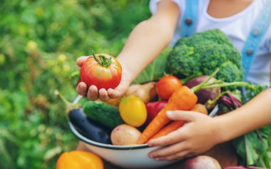 Bahçedeki çocuk elinde sebzelerle. Seçici odaklanma. Doğa.